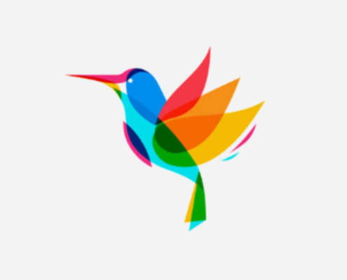 Hummingbird Search Partners