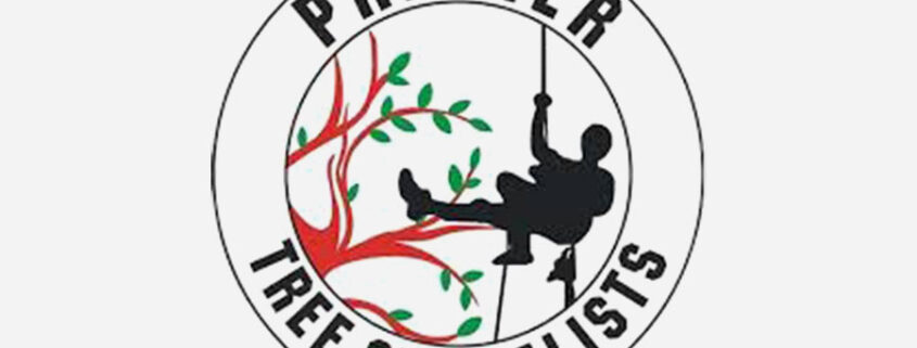 Premier Tree Specialists